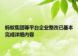 螞蟻集團(tuán)等平臺(tái)企業(yè)整改已基本完成詳細(xì)內(nèi)容