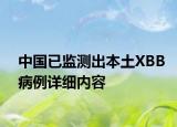 中國已監(jiān)測出本土XBB病例詳細(xì)內(nèi)容