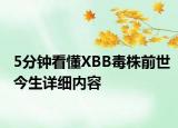 5分鐘看懂XBB毒株前世今生詳細內容