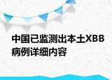 中國已監(jiān)測出本土XBB病例詳細內(nèi)容