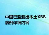 中國已監(jiān)測出本土XBB病例詳細(xì)內(nèi)容