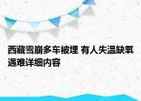 西藏雪崩多車被埋 有人失溫缺氧遇難詳細內容