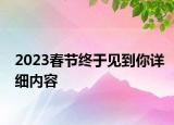 2023春節(jié)終于見到你詳細內容