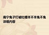 南寧兔子燈被吐槽羊不羊兔不兔詳細(xì)內(nèi)容