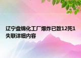遼寧盤錦化工廠爆炸已致12死1失聯(lián)詳細內容