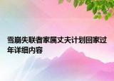 雪崩失聯(lián)者家屬丈夫計劃回家過年詳細(xì)內(nèi)容