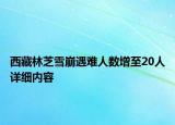 西藏林芝雪崩遇難人數(shù)增至20人詳細內(nèi)容