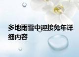 多地雨雪中迎接兔年詳細(xì)內(nèi)容