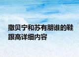 撒貝寧和蘇有朋誰(shuí)的鞋跟高詳細(xì)內(nèi)容