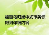 被百鳥(niǎo)歸巢中式審美驚艷到詳細(xì)內(nèi)容