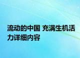 流動的中國 充滿生機(jī)活力詳細(xì)內(nèi)容
