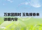 萬家團(tuán)圓時(shí) 玉兔報(bào)春來詳細(xì)內(nèi)容
