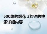 500塊的煙花 3秒鐘的快樂詳細(xì)內(nèi)容