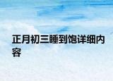 正月初三睡到飽詳細(xì)內(nèi)容
