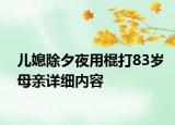 兒媳除夕夜用棍打83歲母親詳細(xì)內(nèi)容