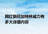 網(wǎng)紅煙花加特林威力有多大詳細(xì)內(nèi)容