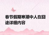 春節(jié)假期寒潮中人在囧途詳細(xì)內(nèi)容