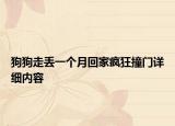 狗狗走丟一個月回家瘋狂撞門詳細內容