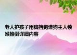 老人護(hù)孩子用腳擋狗遭狗主人鎖喉推倒詳細(xì)內(nèi)容