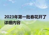 2023年第一批春花開了詳細(xì)內(nèi)容