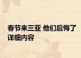 春節(jié)來三亞 他們后悔了詳細(xì)內(nèi)容