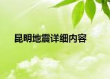 昆明地震詳細(xì)內(nèi)容
