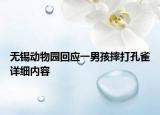 無錫動物園回應(yīng)一男孩摔打孔雀詳細內(nèi)容