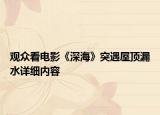 觀眾看電影《深?！吠挥鑫蓓斅┧敿?xì)內(nèi)容