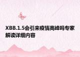 XBB.1.5會(huì)引來(lái)疫情高峰嗎專家解讀詳細(xì)內(nèi)容