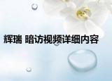 輝瑞 暗訪視頻詳細(xì)內(nèi)容