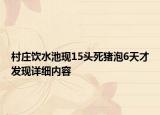 村莊飲水池現(xiàn)15頭死豬泡6天才發(fā)現(xiàn)詳細(xì)內(nèi)容