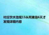 村莊飲水池現(xiàn)15頭死豬泡6天才發(fā)現(xiàn)詳細(xì)內(nèi)容