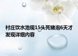 村莊飲水池現(xiàn)15頭死豬泡6天才發(fā)現(xiàn)詳細(xì)內(nèi)容
