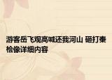 游客岳飛觀高喊還我河山 砸打秦檜像詳細(xì)內(nèi)容