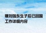 曝劉強(qiáng)東生子后已回國工作詳細(xì)內(nèi)容