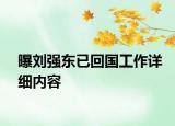 曝劉強東已回國工作詳細內(nèi)容
