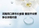 河南周口原市長被查 曾因平墳惹爭議詳細(xì)內(nèi)容