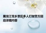 黑龍江雪鄉(xiāng)景區(qū)多人打架警方回應(yīng)詳細(xì)內(nèi)容