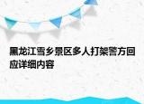 黑龍江雪鄉(xiāng)景區(qū)多人打架警方回應(yīng)詳細(xì)內(nèi)容