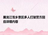 黑龍江雪鄉(xiāng)景區(qū)多人打架警方回應(yīng)詳細(xì)內(nèi)容