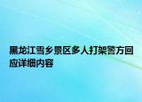 黑龍江雪鄉(xiāng)景區(qū)多人打架警方回應(yīng)詳細(xì)內(nèi)容