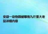 安徽一動物園被曝有九斤重大老鼠詳細內(nèi)容