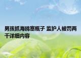 男孩抓海鷗塞瓶子 監(jiān)護(hù)人被罰兩千詳細(xì)內(nèi)容