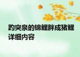 趵突泉的錦鯉胖成豬鯉詳細內(nèi)容