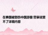 在泰國被割傷中國游客:警察說管不了詳細內(nèi)容