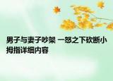 男子與妻子吵架 一怒之下砍斷小拇指詳細(xì)內(nèi)容