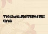 王毅將訪問法國俄羅斯等多國詳細內容