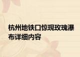 杭州地鐵口驚現(xiàn)玫瑰瀑布詳細(xì)內(nèi)容