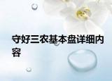 守好三農(nóng)基本盤詳細(xì)內(nèi)容
