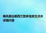 颶風(fēng)襲擊新西蘭致多地發(fā)生洪水詳細(xì)內(nèi)容
